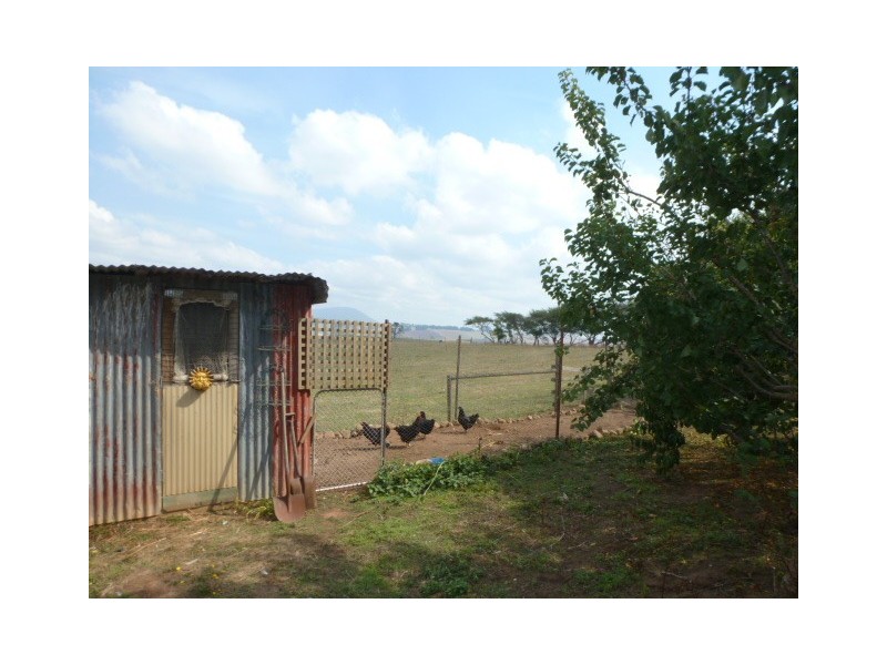 88 Williams Road, Scottsdale TAS 7260