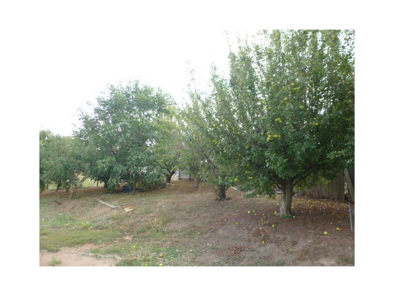 88 Williams Road, Scottsdale TAS 7260