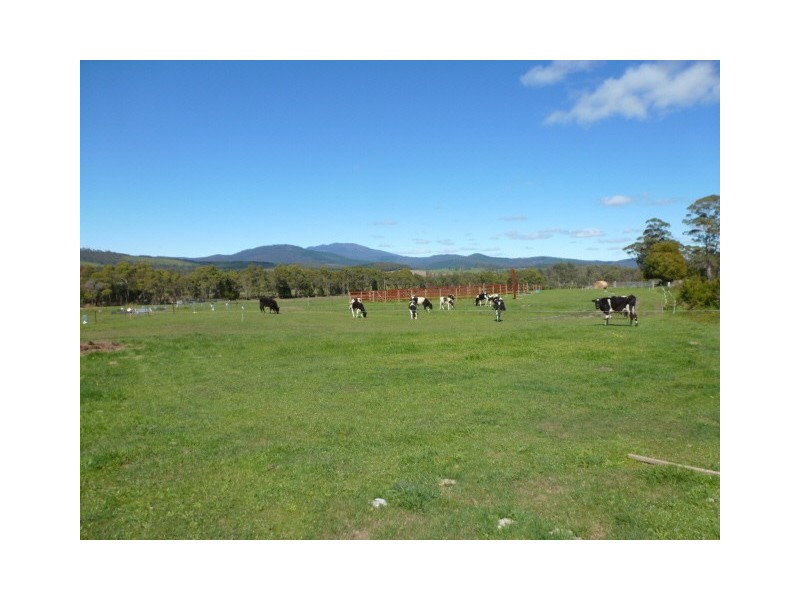 2672 Golconda Road, Nabowla, Scottsdale TAS 7260