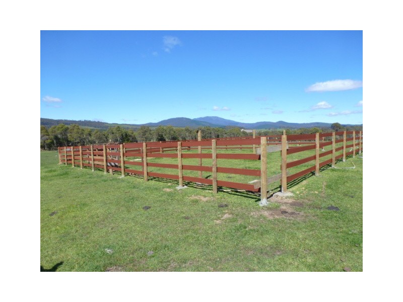 2672 Golconda Road, Nabowla, Scottsdale TAS 7260