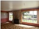 246 Racecourse Road, Winnaleah TAS 7265