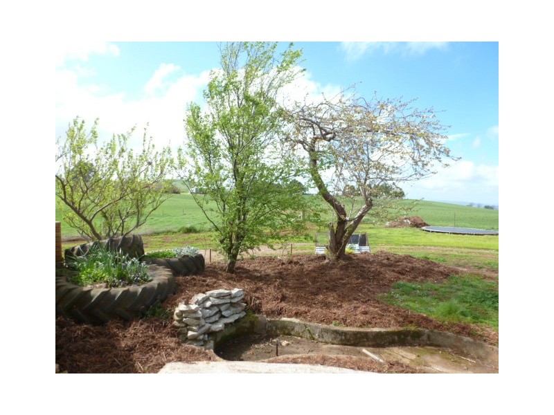 246 Racecourse Road, Winnaleah TAS 7265