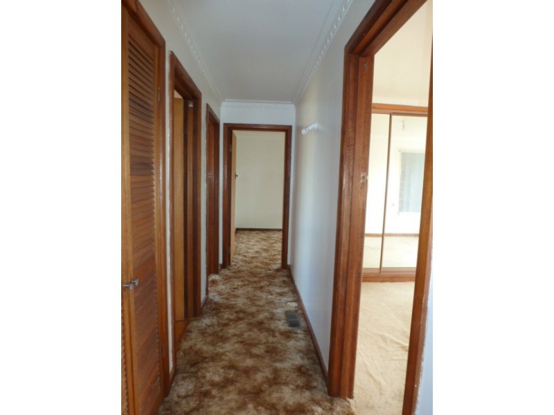 246 Racecourse Road, Winnaleah TAS 7265