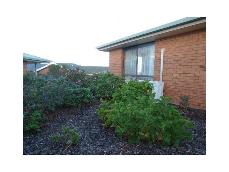 1/3 Nation Court, Scottsdale TAS 7260