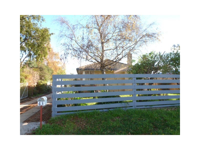 43 Spotswood Drive, Scottsdale TAS 7260