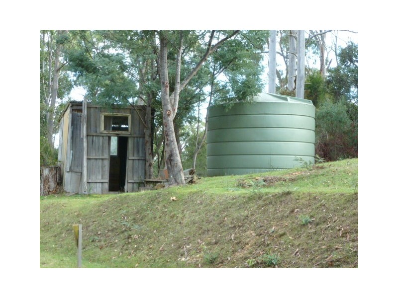 ** Burns Road, Wyena, Lilydale TAS 7268