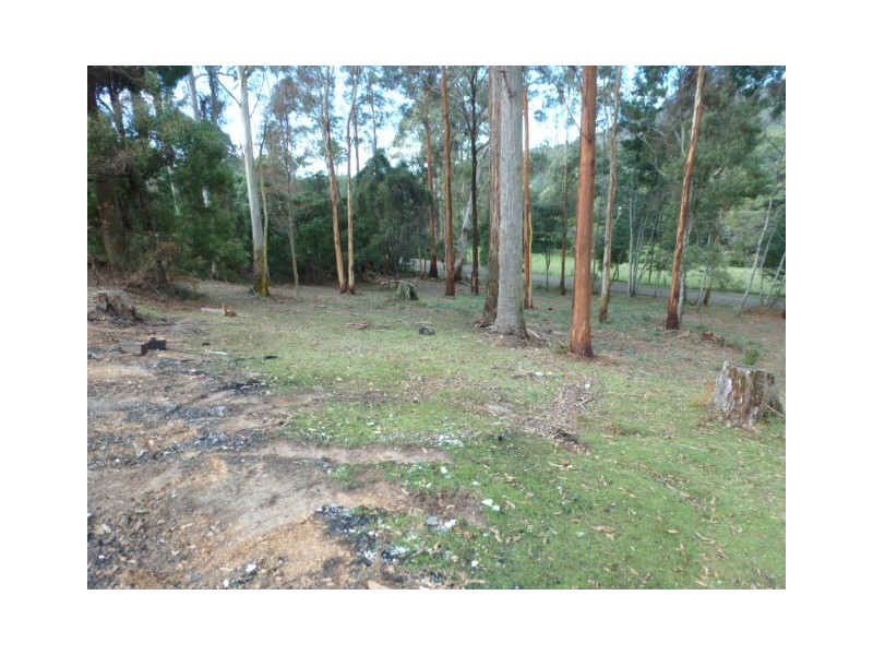 ** Burns Road, Wyena, Lilydale TAS 7268