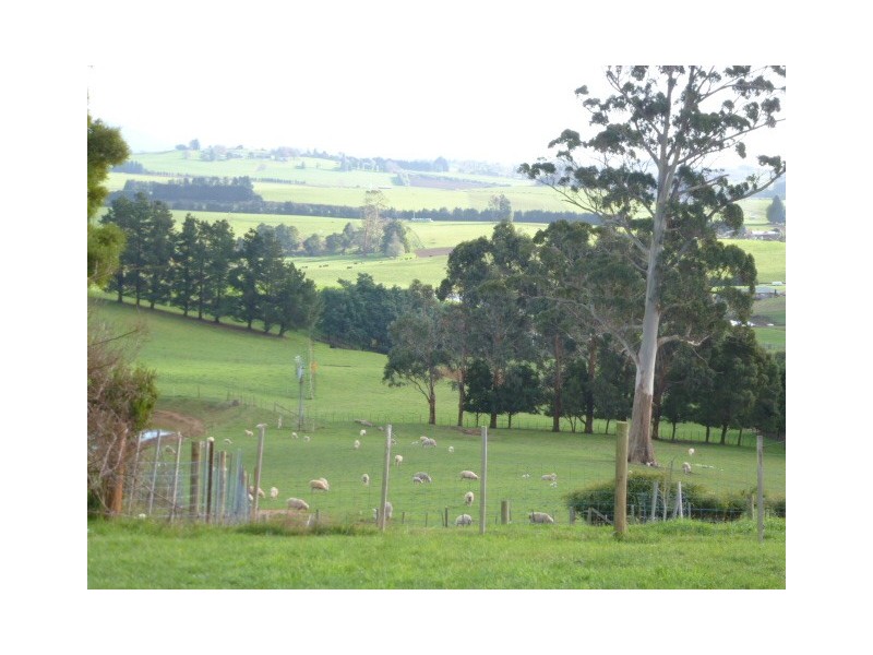 444 East Minstone Road, Scottsdale TAS 7260