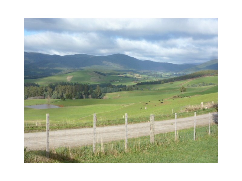 444 East Minstone Road, Scottsdale TAS 7260