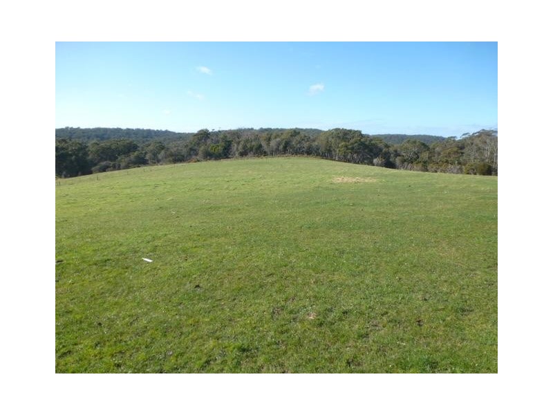 2568 Gladstone Road, Gladstone TAS 7264