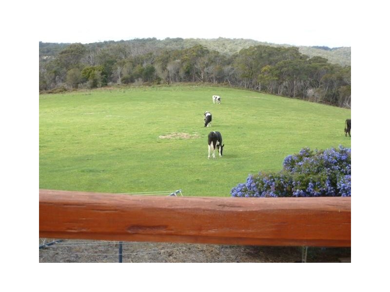 2568 Gladstone Road, Gladstone TAS 7264