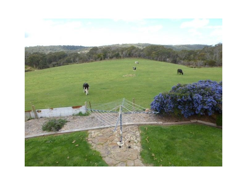 2568 Gladstone Road, Gladstone TAS 7264