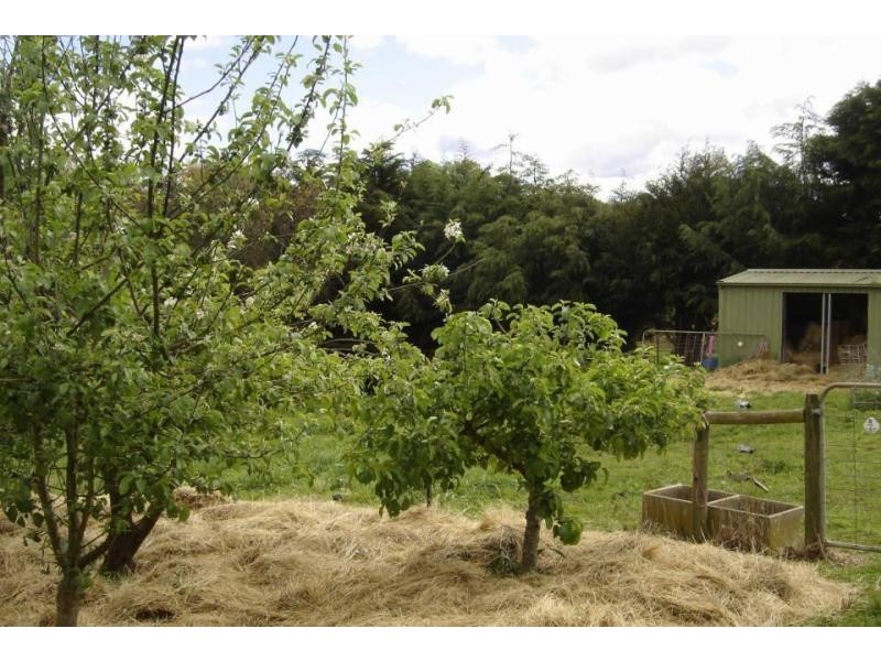 *East Maurice Road, Ringarooma TAS 7263