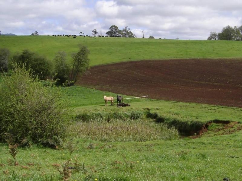 *East Maurice Road, Ringarooma TAS 7263