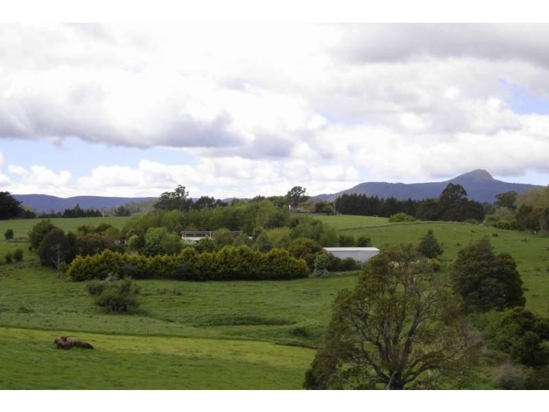 160 East Maurice Road, Ringarooma TAS 7263