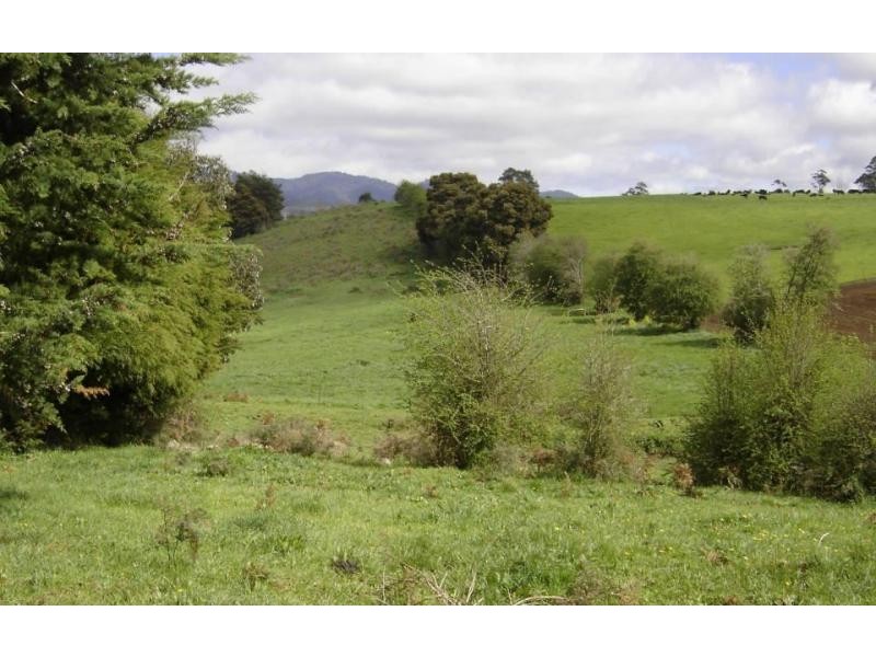 160 East Maurice Road, Ringarooma TAS 7263