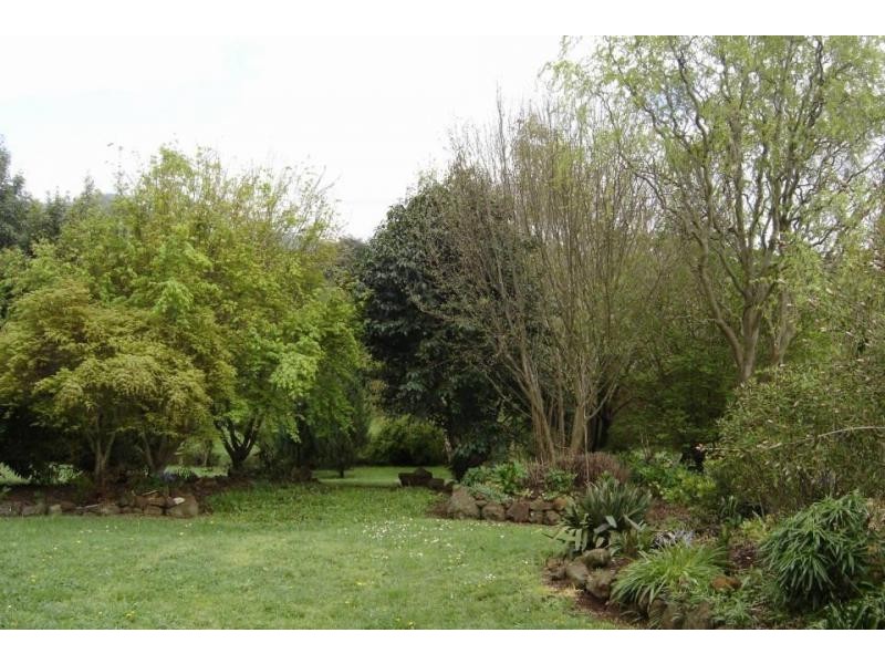 160 East Maurice Road, Ringarooma TAS 7263