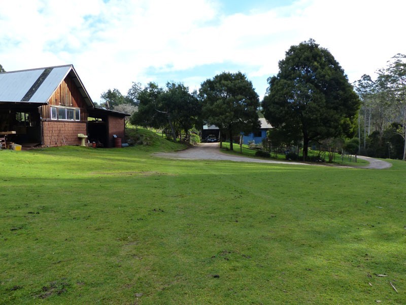 31 Banks Road, Derby TAS 7264