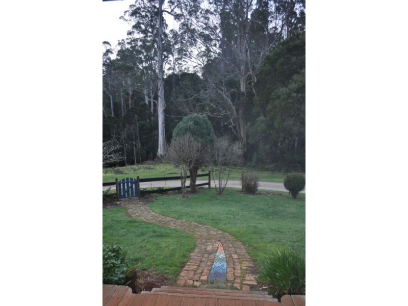 * Banks Road, Derby TAS 7264