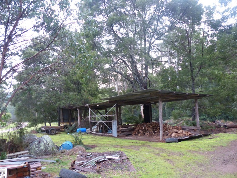 * Banks Road, Derby TAS 7264