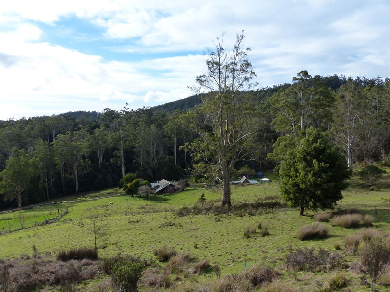 * Banks Road, Derby TAS 7264