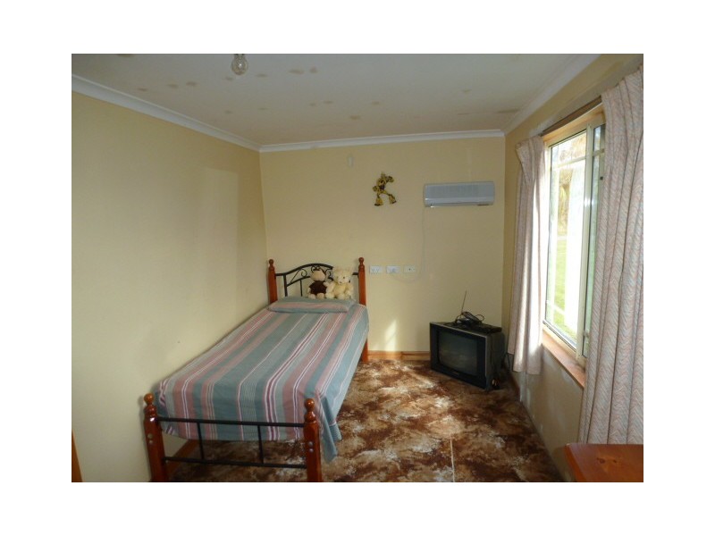 82 Lisle Road, Nabowla, Scottsdale TAS 7260