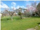 82 Lisle Road, Nabowla, Scottsdale TAS 7260