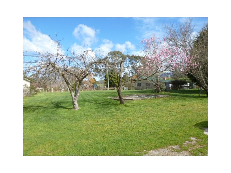 82 Lisle Road, Nabowla, Scottsdale TAS 7260