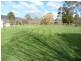 82 Lisle Road, Nabowla, Scottsdale TAS 7260