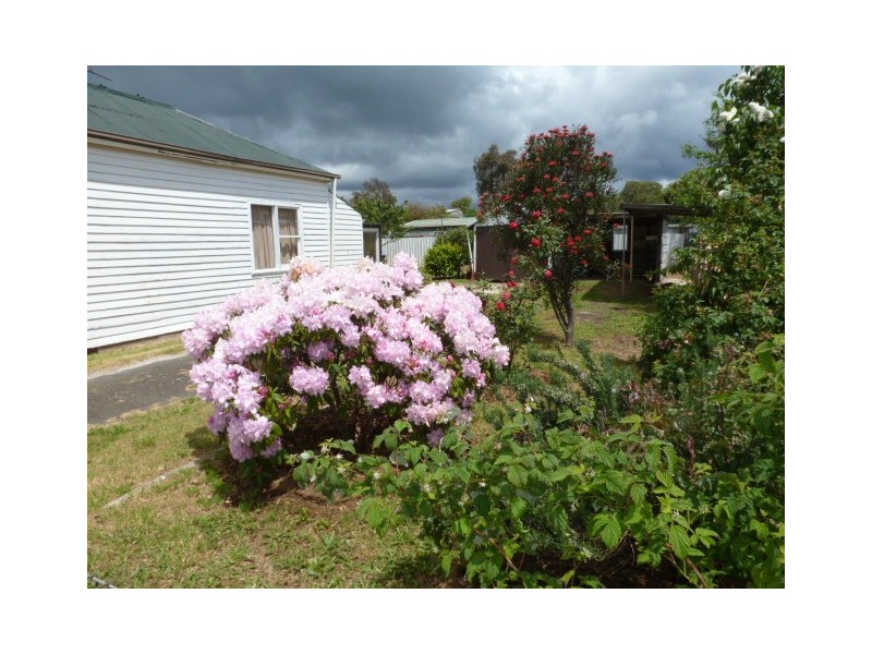 6 Hedley Street, Scottsdale TAS 7260