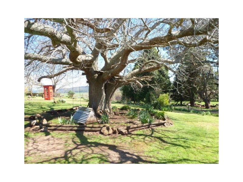 37 Legerwood Lane, Branxholm TAS 7261