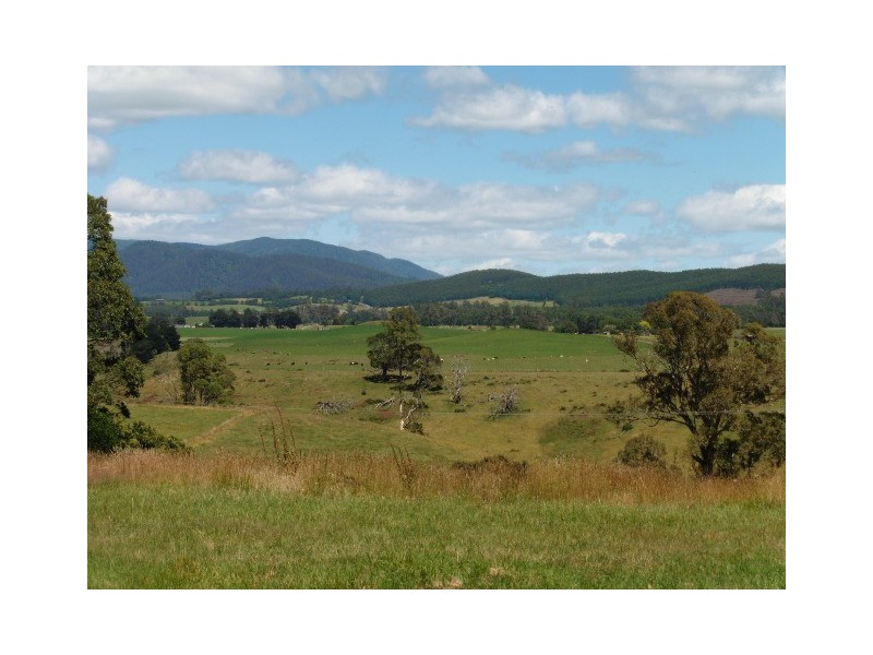 37 Legerwood Lane, Branxholm TAS 7261