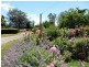 * Legerwood Lane, Branxholm TAS 7261