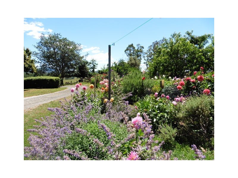 * Legerwood Lane, Branxholm TAS 7261