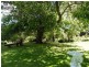 * Legerwood Lane, Branxholm TAS 7261