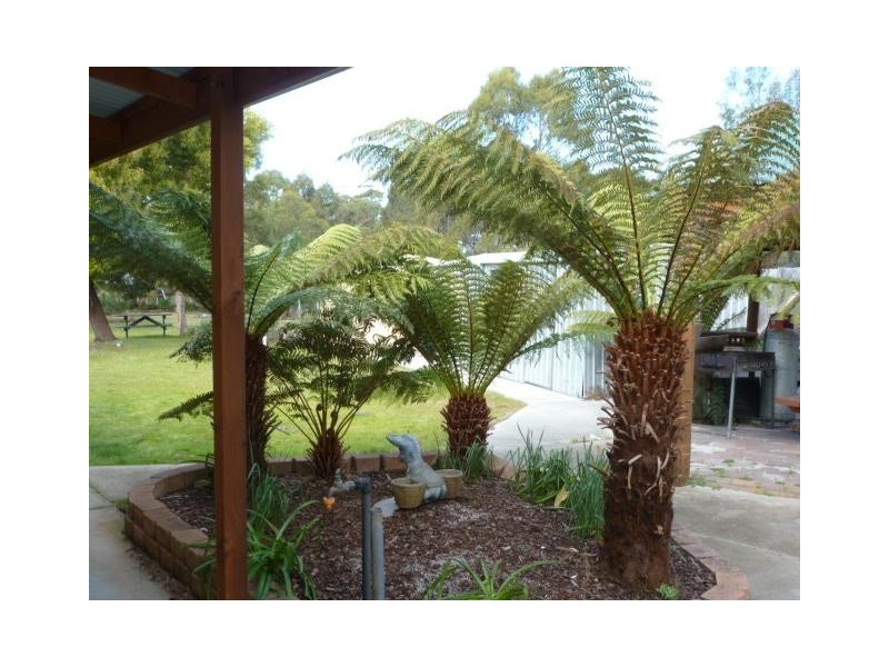 8 Melaleuca Street, Ansons Bay TAS 7216