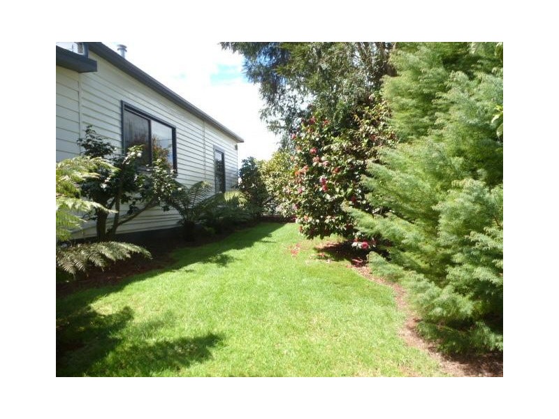 50 Arthur Street, Scottsdale TAS 7260