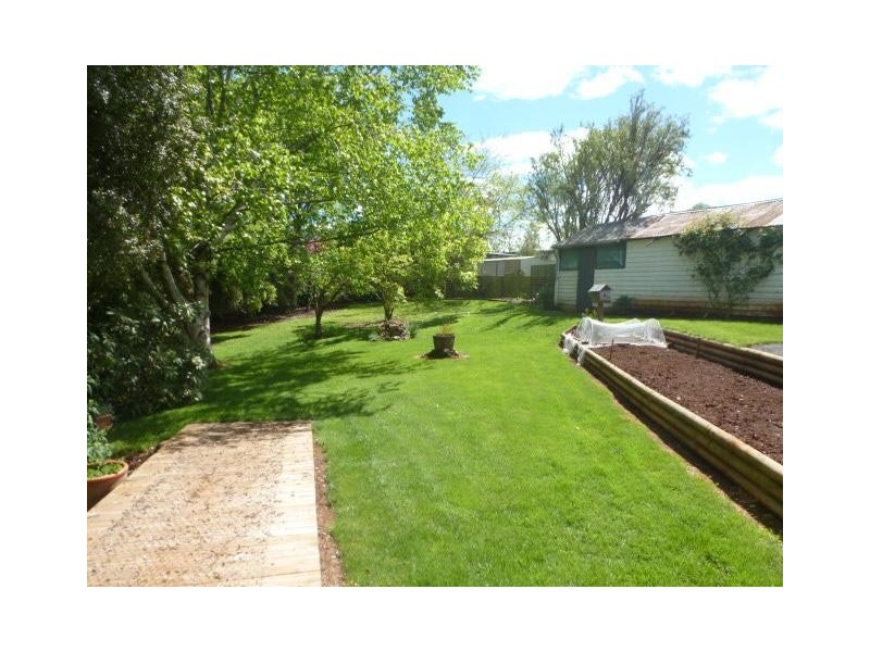 50 Arthur Street, Scottsdale TAS 7260