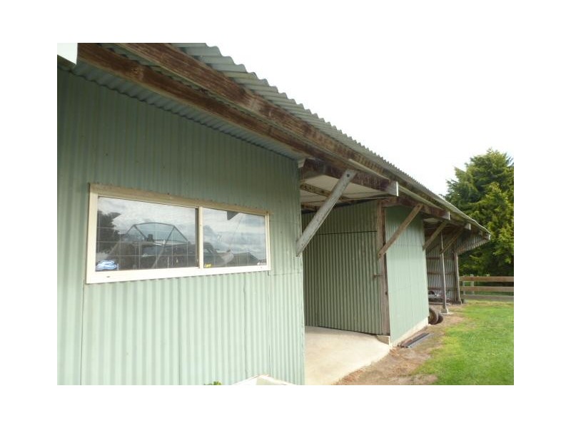 ** Austins Road, Scottsdale TAS 7260