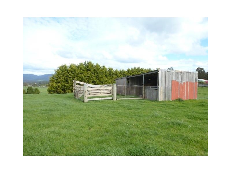 ** Austins Road, Scottsdale TAS 7260