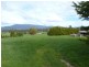 ** Austins Road, Scottsdale TAS 7260