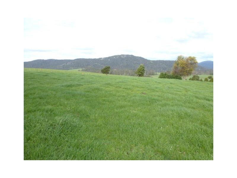 ** Austins Road, Scottsdale TAS 7260