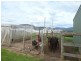 ** Austins Road, Scottsdale TAS 7260