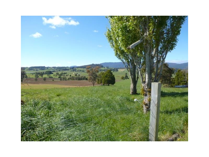 * Tasman Highway Springfield, Scottsdale TAS 7260