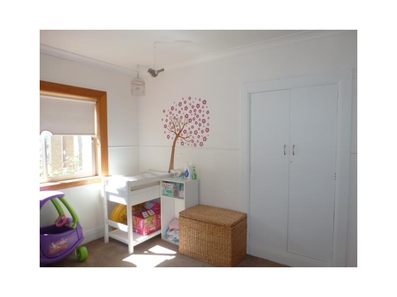 * Tasman Highway Springfield, Scottsdale TAS 7260