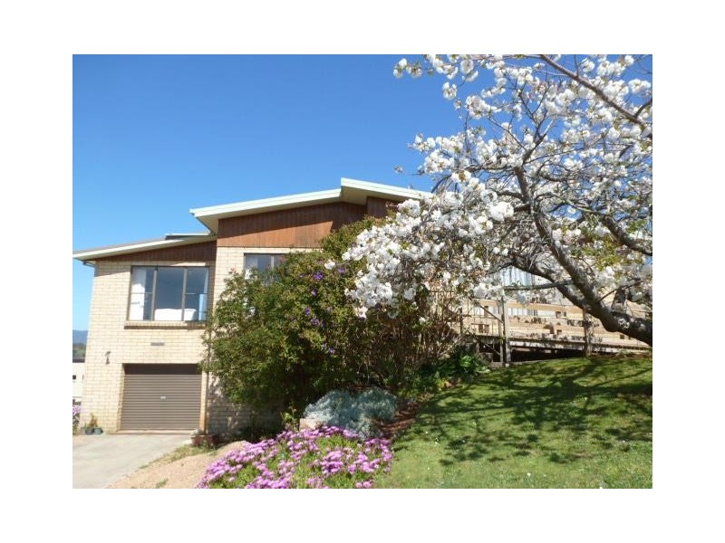 14 Hedley Street, Scottsdale TAS 7260