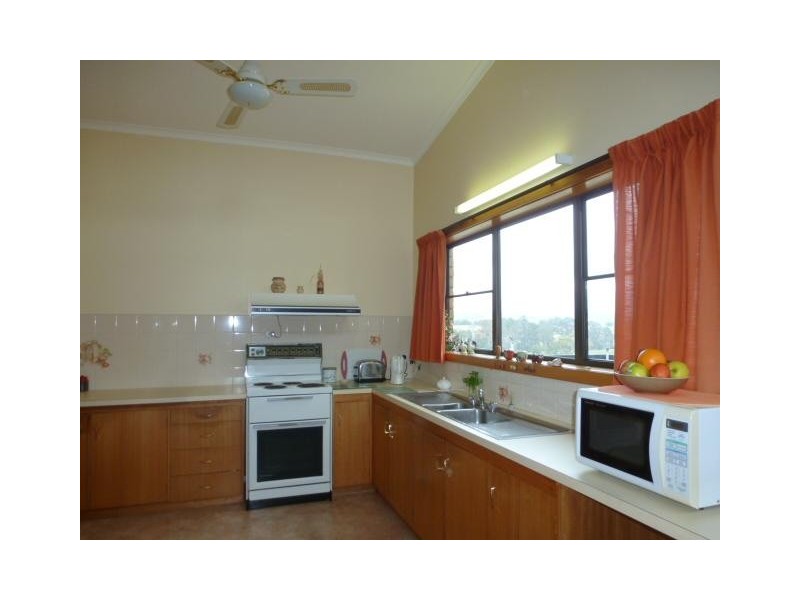 14 Hedley Street, Scottsdale TAS 7260