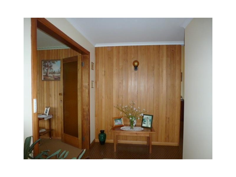 14 Hedley Street, Scottsdale TAS 7260