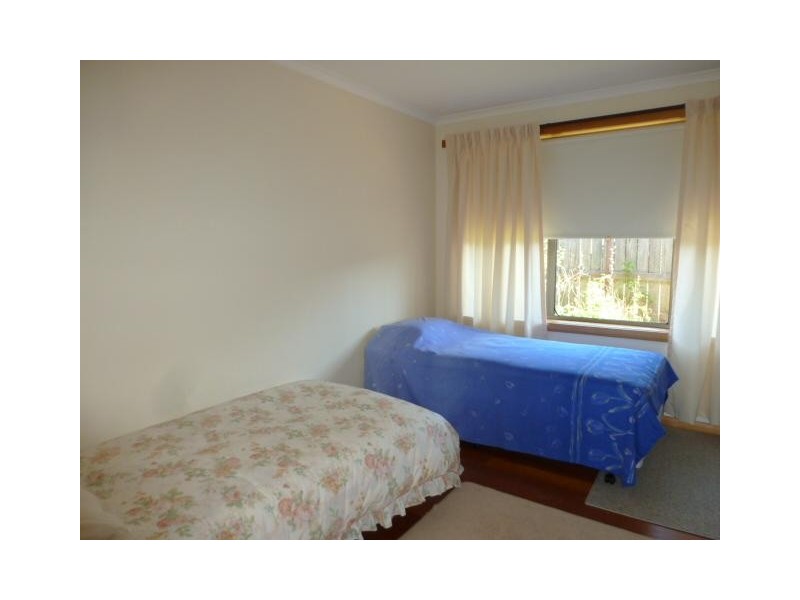 14 Hedley Street, Scottsdale TAS 7260