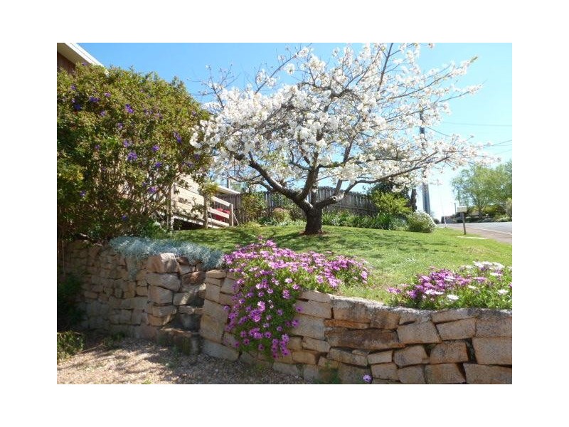 14 Hedley Street, Scottsdale TAS 7260